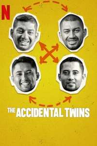 The Accidental Twins - Poster