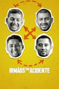 The Accidental Twins - Poster