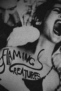 Flaming Creatures - Posters