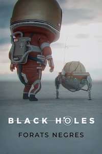 Black Holes - Poster