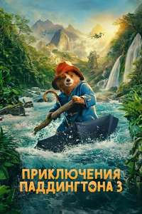 Paddington in Peru - Posters