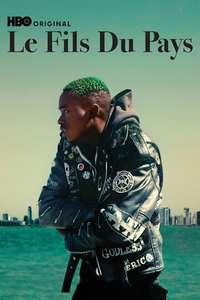 Native Son - Posters
