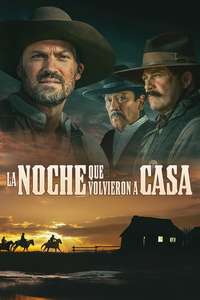 The Night They Came Home - Posters