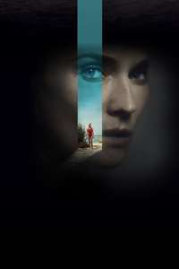 Visions - Posters