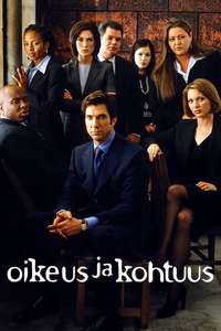 The Practice - Poster