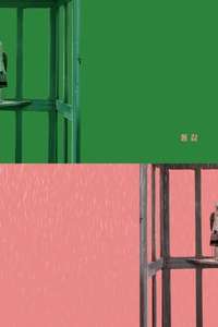 Ditto - Posters