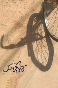 Mallesham - Poster