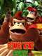 Donkey Kong Country