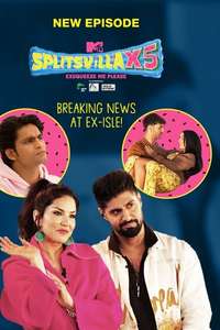 MTV Splitsvilla - Posters