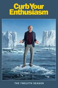 Curb Your Enthusiasm - Posters