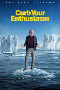 Curb Your Enthusiasm - Posters