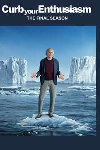 Curb Your Enthusiasm - Posters