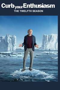 Curb Your Enthusiasm - Posters