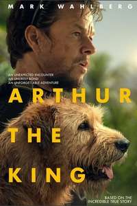 Arthur the King - Posters