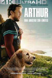 Arthur the King - Posters