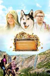 Timber the Treasure Dog - Posters