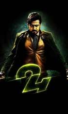 24