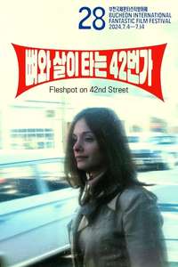 Fleshpot on 42nd Street - Posters