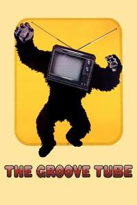 The Groove Tube - Posters