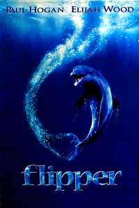 Flipper - Posters