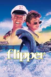Flipper - Posters