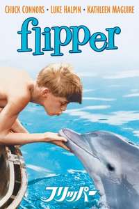 Flipper - Posters