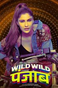 Wild Wild Punjab - Posters