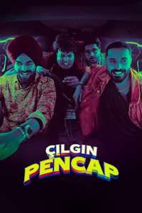 Wild Wild Punjab - Posters