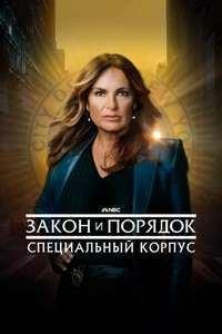 Law & Order: Special Victims Unit - Posters
