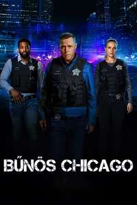 Chicago P.D. - Posters
