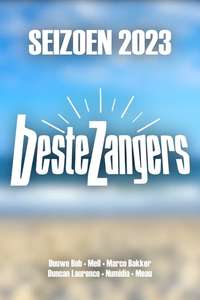 De beste zangers van Nederland - Posters