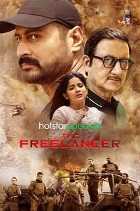 The Freelancer - Posters