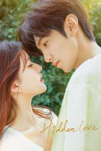 Hidden Love - Posters