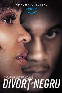 Tyler Perry's Divorce in the Black - Posters