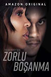 Tyler Perry's Divorce in the Black - Posters