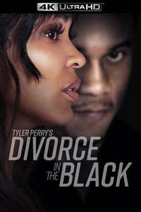 Tyler Perry's Divorce in the Black - Posters
