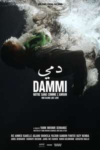Dammi - Posters