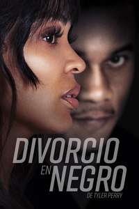 Tyler Perry's Divorce in the Black - Posters