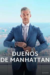 Owning Manhattan - Posters
