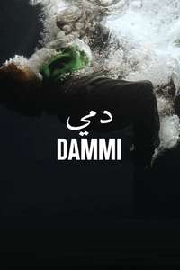 Dammi - Posters
