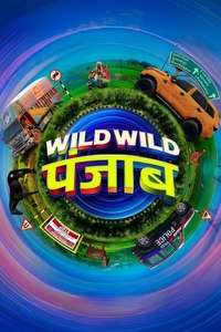 Wild Wild Punjab - Posters