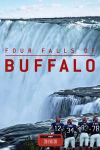 Four Falls of Buffalo - Posters
