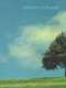 Memories of the Wind