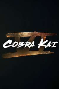 Cobra Kai - Posters