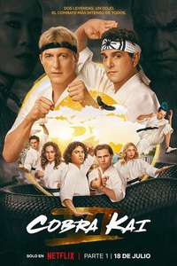 Cobra Kai - Posters