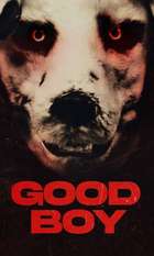 Good Boy