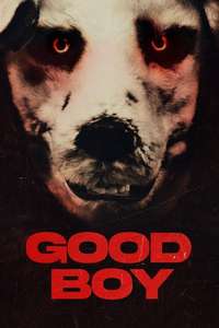 Good Boy - Posters