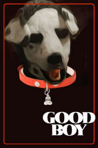 Good Boy - Posters