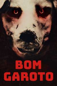 Good Boy - Posters
