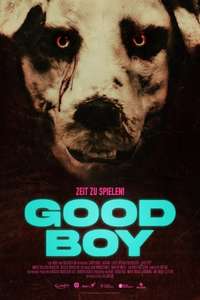 Good Boy - Posters